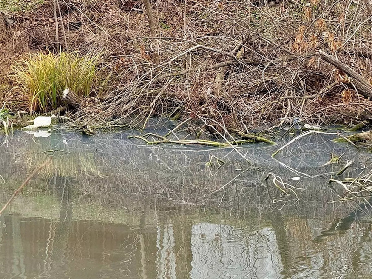 Жители Красного Сулина стали свидетелями сброса канализационных вод в реку Гнилушу