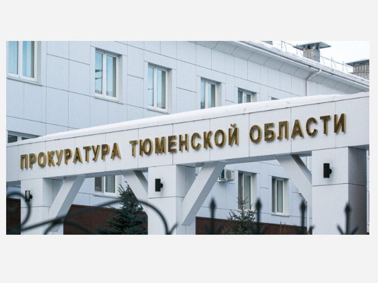 В Тюменской области остаётся высоким уровень киберпреступности