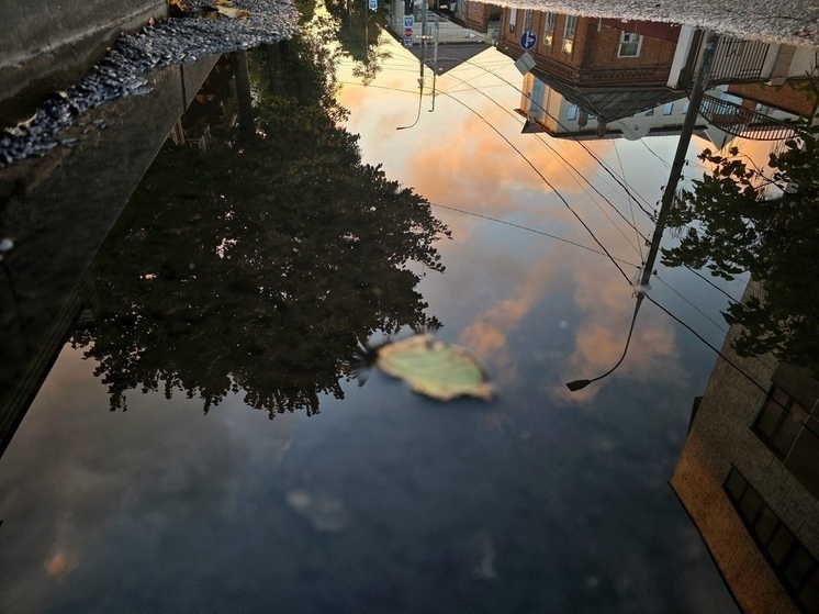 В Сочи и ФТ Сириус 10 декабря ожидается дождь и температура до +15°C