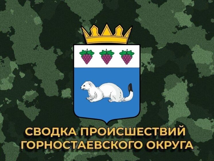 За сутки ВСУ 10 раз обстреляли Горностаевский округ