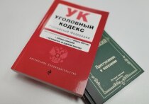 В 2026 году Правительство РФ ужесточит ответственность за незаконный майнинг и нелегальное кредитование