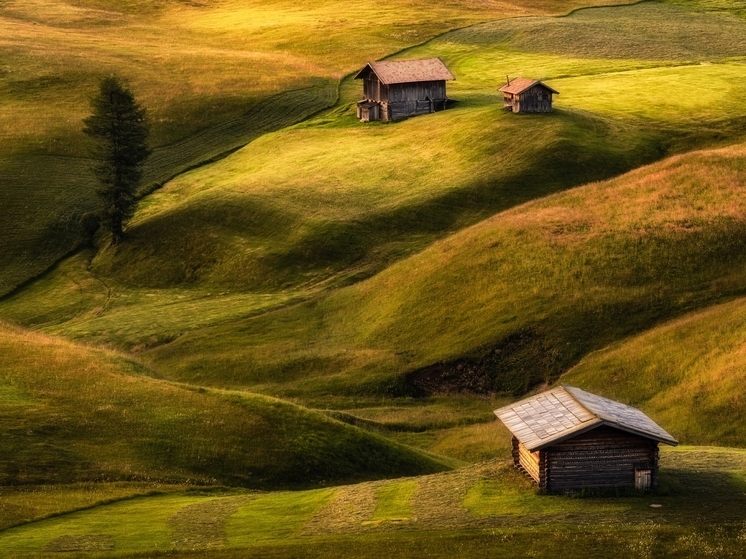 Нижегородцам расскажут о новых правилах для неиспользуемых земель