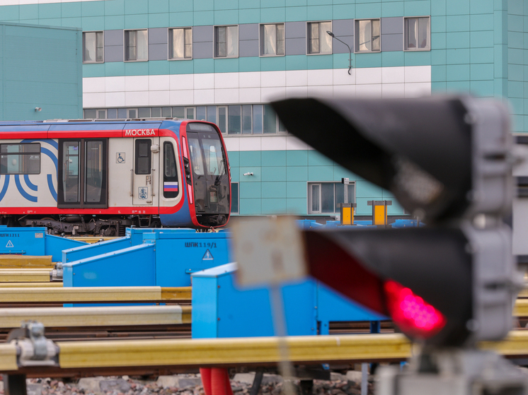 Пассажиров эвакуировали с неисправного поезда на МЦД 4