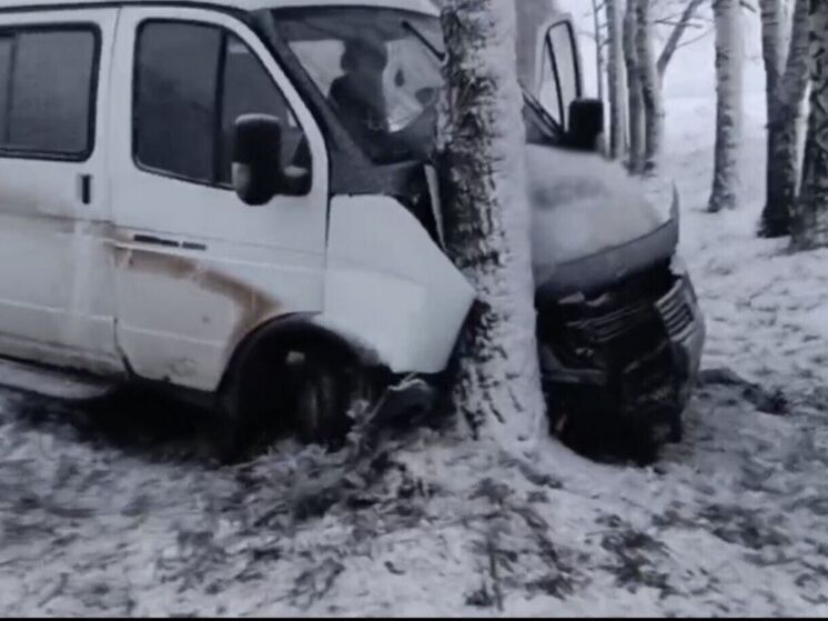 Семь человек пострадали в ДТП с пассажирской «Газелью» в Волоконовском округе