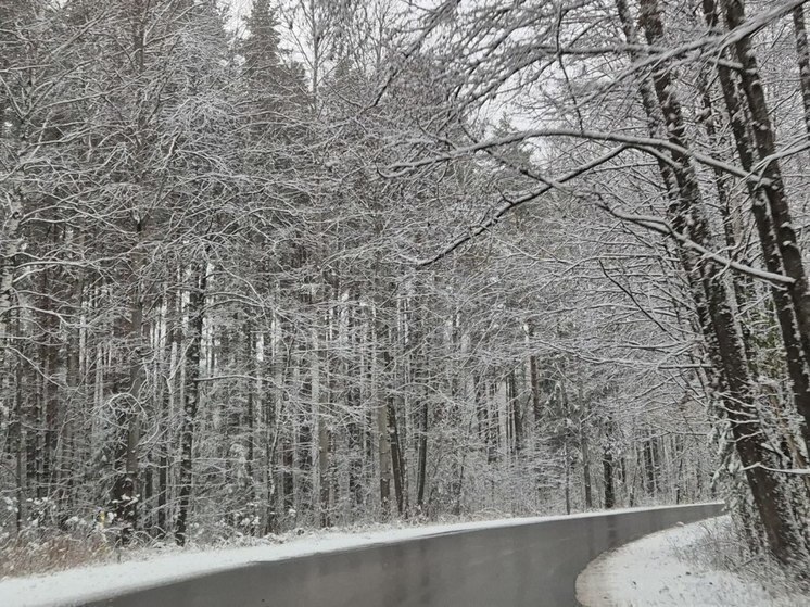 Рязанцев предупредили о гололедице и снегопаде на дорогах