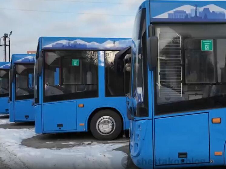Парк Владивостока пополнился: 14 новых автобусов МАЗ готовятся к выходу на линии