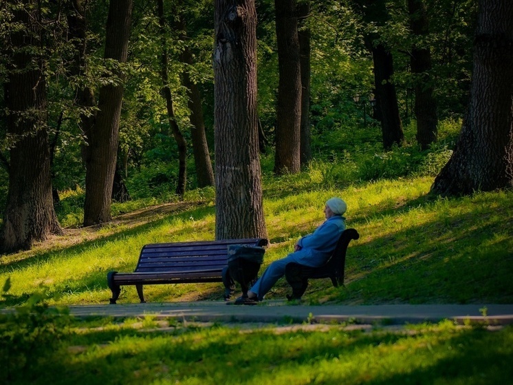 В скверах Тулы установят 50 новых видеокамер системы «Безопасный город»