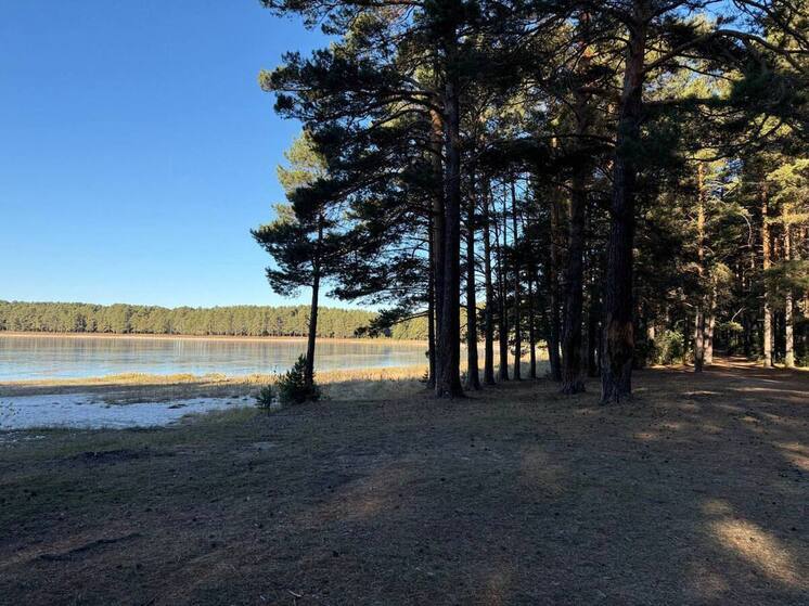 Томская природоохранная прокуратура требует установить охранные зоны для 10 памятников природы