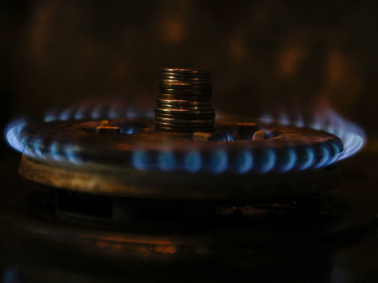 Туляк получил срок за фальшивую газификацию домов в регионе стоимостью 1,3 млн