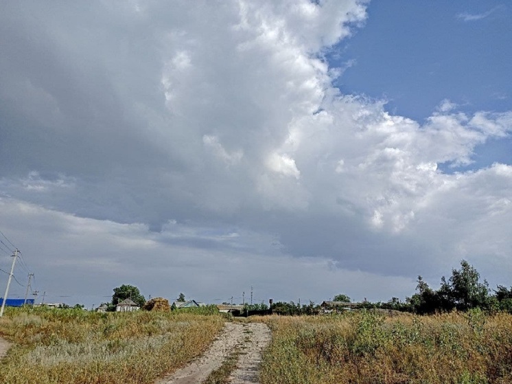 В Саратовской области освоили более 2 млрд рублей на развитие сёл