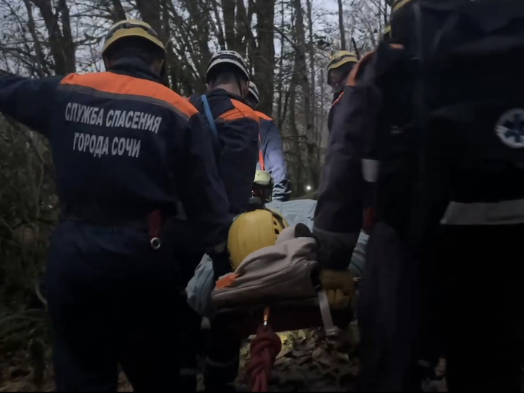 Сочинские спасатели вынесли из леса девушку, которая не могла ходить