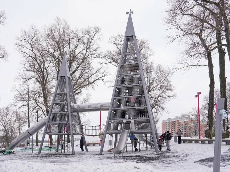Осановскую рощу в Вологде откроют в ближайшее время