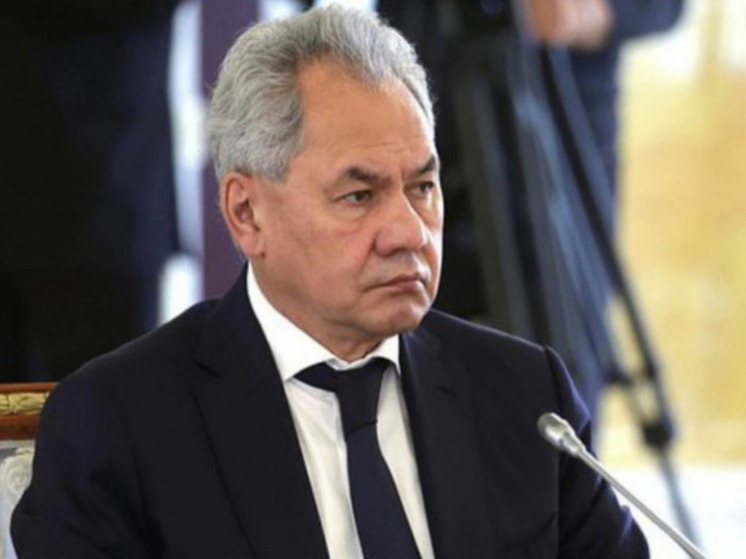 Шойгу: в Азиатско-Тихоокеанском регионе появляются зародыши НАТО