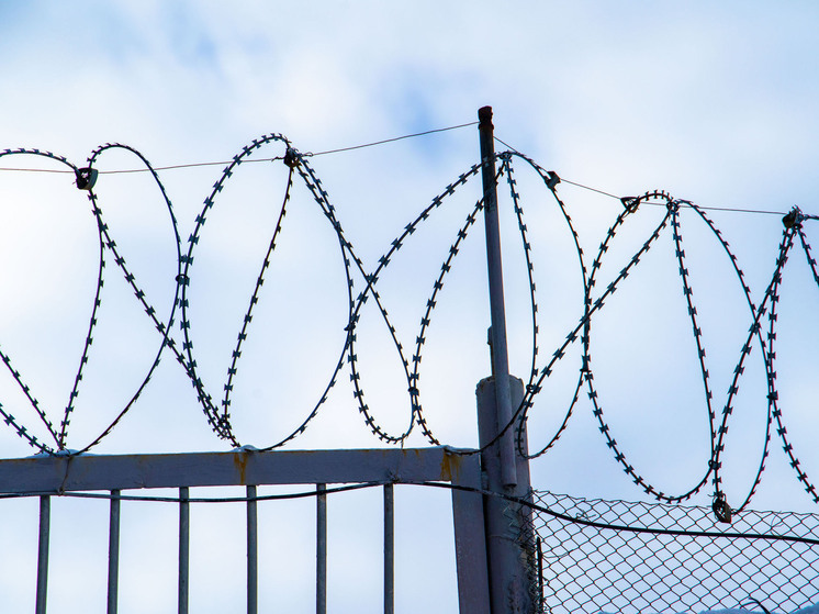 В Челябинской области военнослужащего отправили в колонию за самоволку