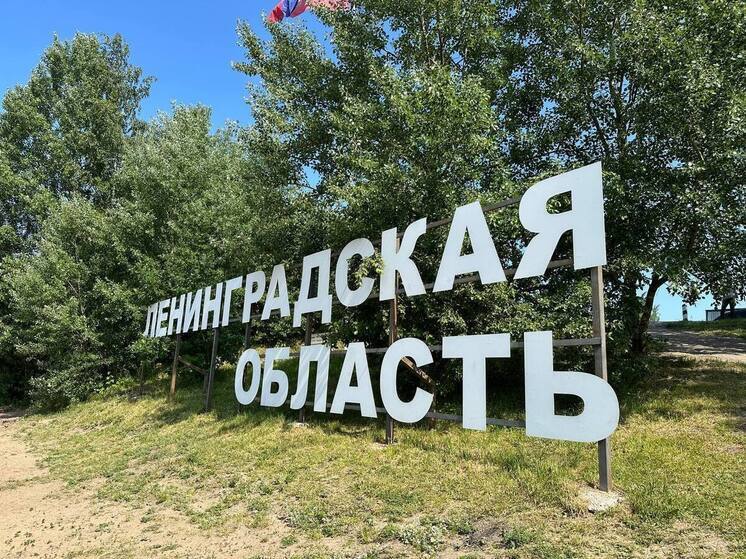 В Ленобласти выберут лучших благотворителей