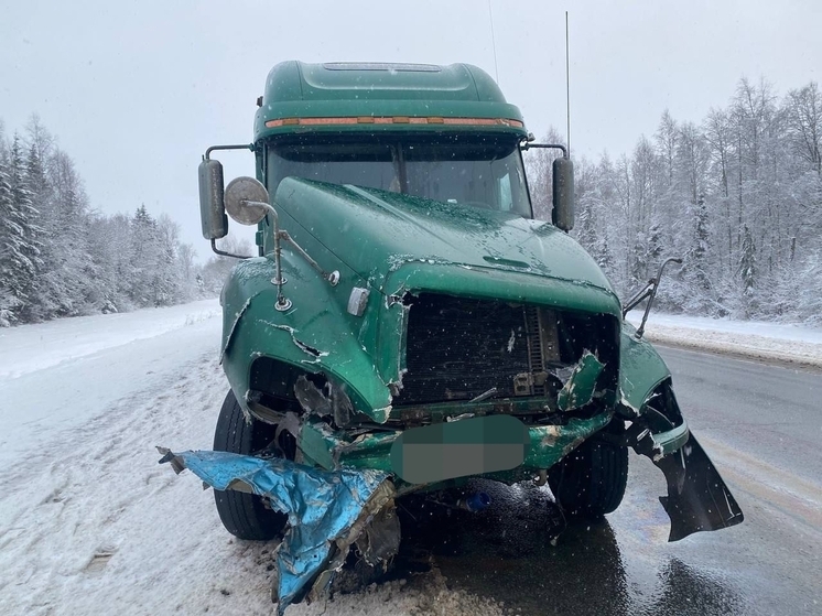 Смертельный обгон: три человека погибли в Шекснинском округе