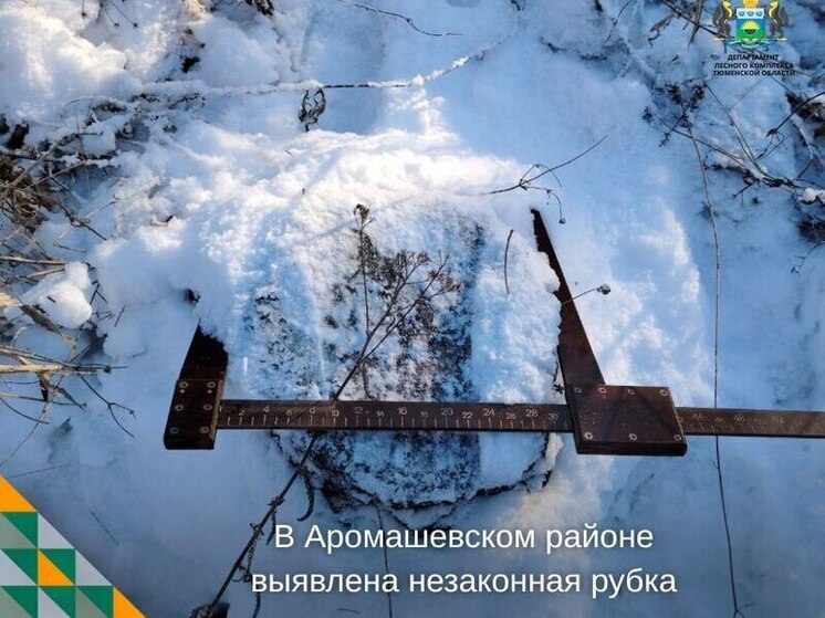 В Тюменской области охранять леса помогают новые технологии