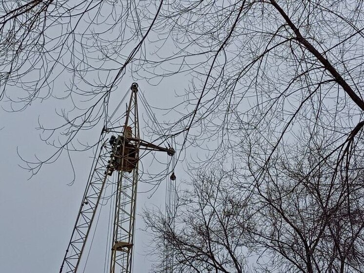 Воронежские проектировщики воспользовались неопытностью саратовского чиновника