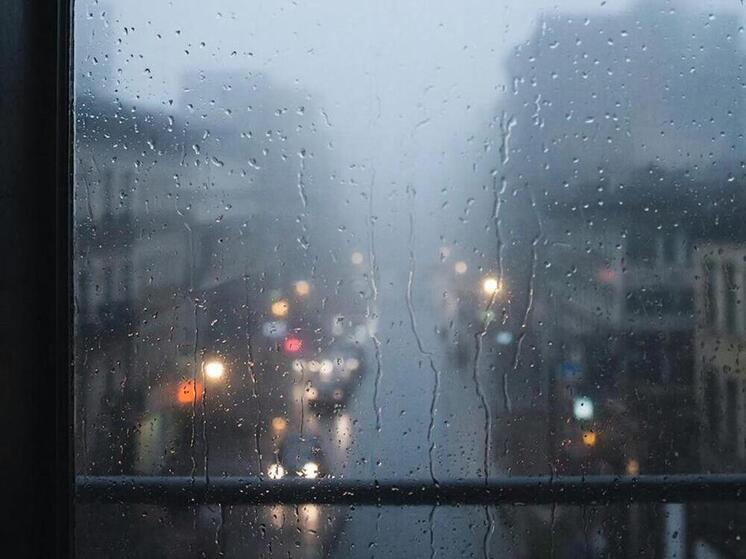 Синоптики 10 декабря предсказывают в Смоленске пасмурную дождливую погоду
