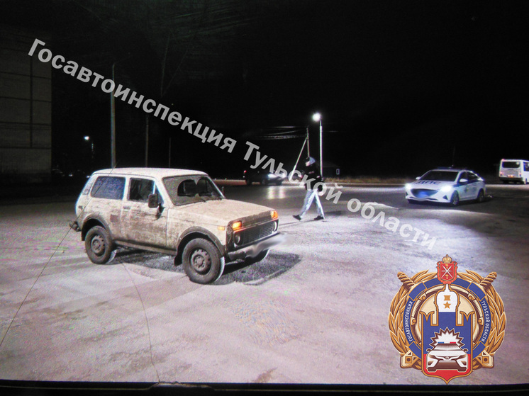 В Донском молодой водитель «ВАЗа» снёс на дороге нарушительницу ПДД