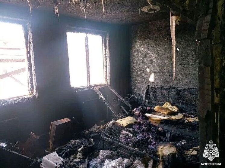 Оставленный без присмотра: фонарь на зарядке стал причиной пожара в Приморье