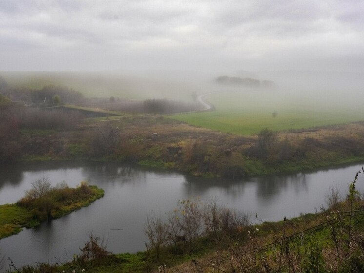 Как распознать неиспользуемую землю, объяснит тулякам Росреестр