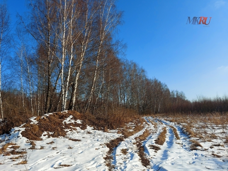 «Калужские засеки» готовятся пригласить к зубрам