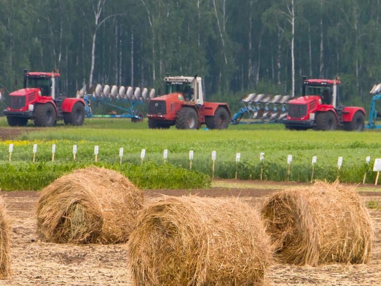 В Челябинской области заработал новый агротехнологический класс