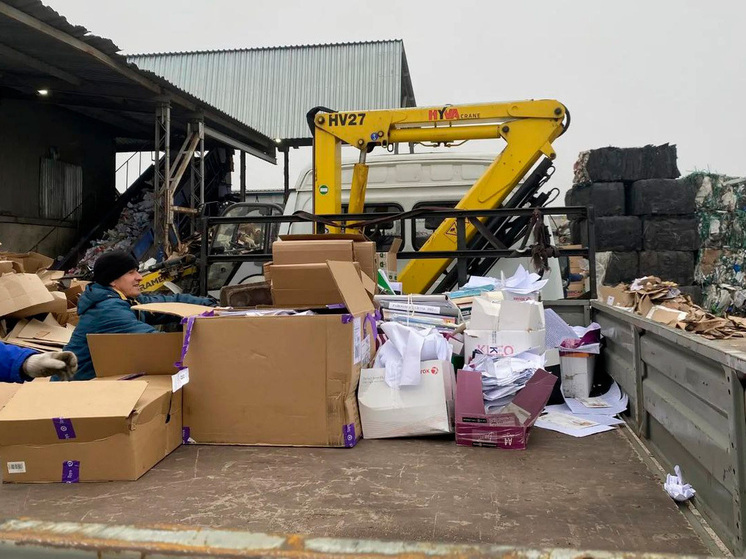 Липецкие экологи собрали 300 кг макулатуры