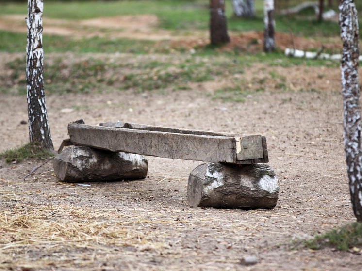 На Камчатке неделю ищут опытного охотника, который почти месяц не выходит на связь
