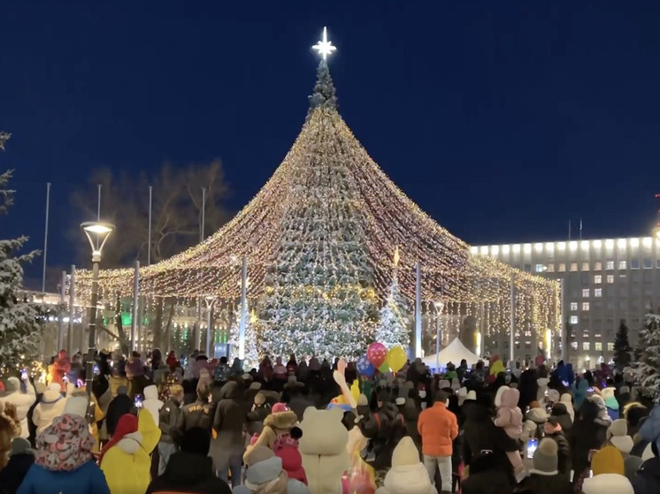 Главную ёлку Архангельска зажгут на площади Ленина 13 декабря