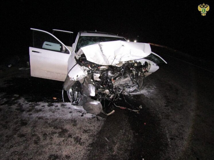 Прокуратура контролирует расследование смертельной автокатастрофы в Бердянске