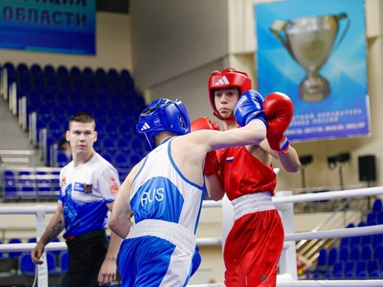 В Курске прошел турнир по боксу в честь «Героев Отечества»