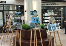 14 ноября 2025 года состоялось открытие ежегодной выставкиконкурса имени Виталия Дворецкого