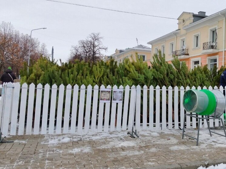 Мэр Белгорода назвал адреса елочных базаров