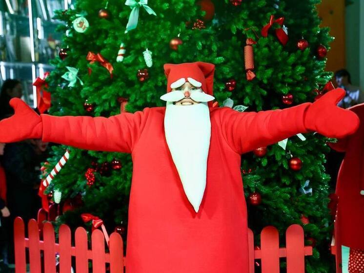 Челябинский театр кукол представил новогоднюю премьеру