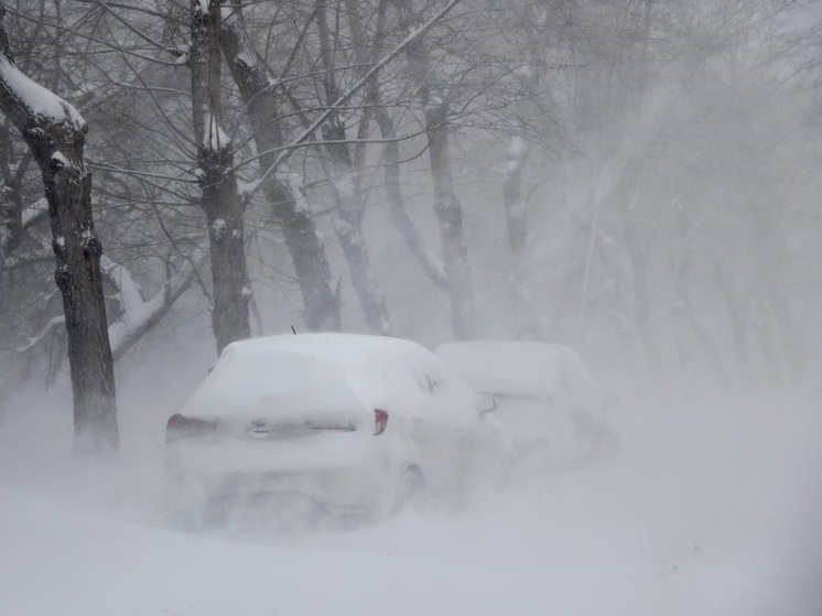 Пожилой южноуралец застрял в морозном аду на несколько часов