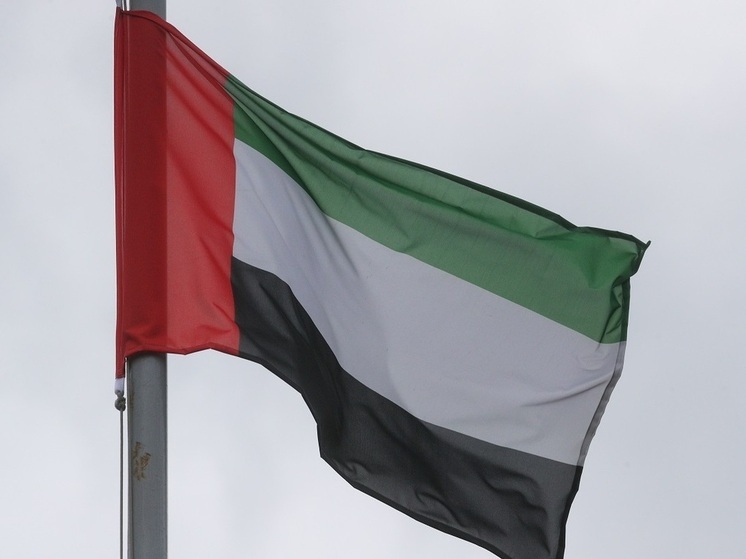 Эксперт Колташов: санкционное давление ЕС скажется на итогах Российско-Эмиратского бизнес-форума