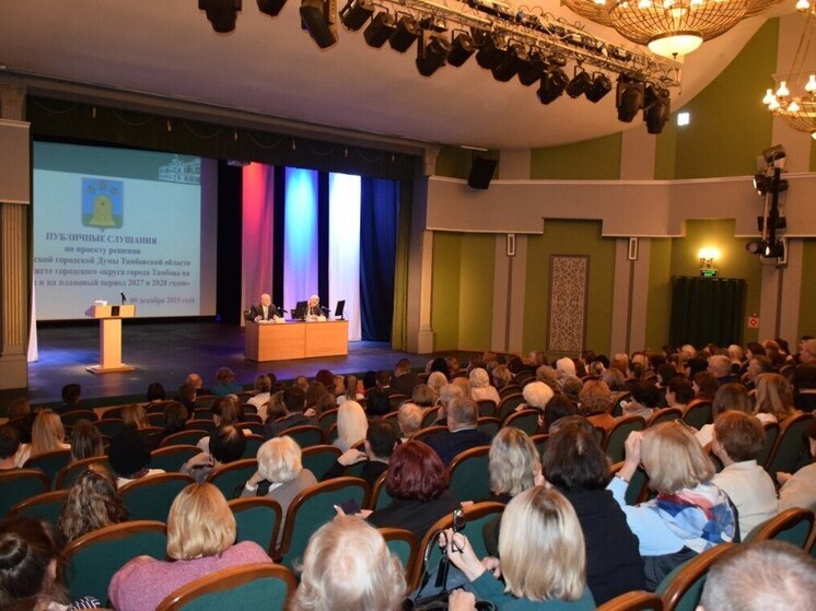 Бюджет Тамбова на ближайшие три года: отремонтируют школы, обновят набережную и сохранят льготы