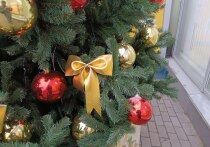 Жители пензенского микрорайона Терновка выразили недовольство переносом традиционного места установки новогодней ёлки. Вместо площади у ДК на улице Терновского, 127, праздничное дерево разместили рядом со школой №59, что вызвало бурную реакцию местных жителей, привыкших встречать праздники в прежнем «историческом центре» района.