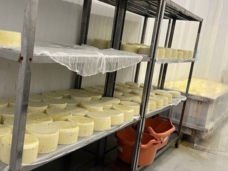 В Петербурге утилизировали две тонны сыра после проверки прокуратуры