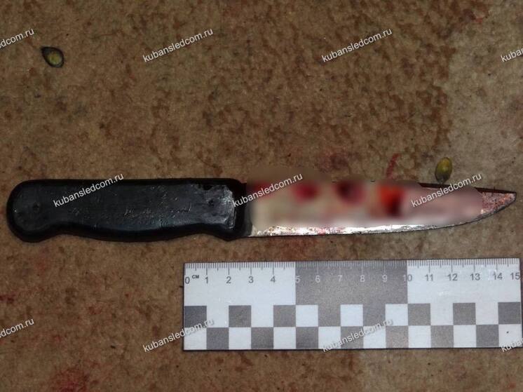 Житель Ейска обвиняется в убийстве приятеля ножом после распития алкоголя