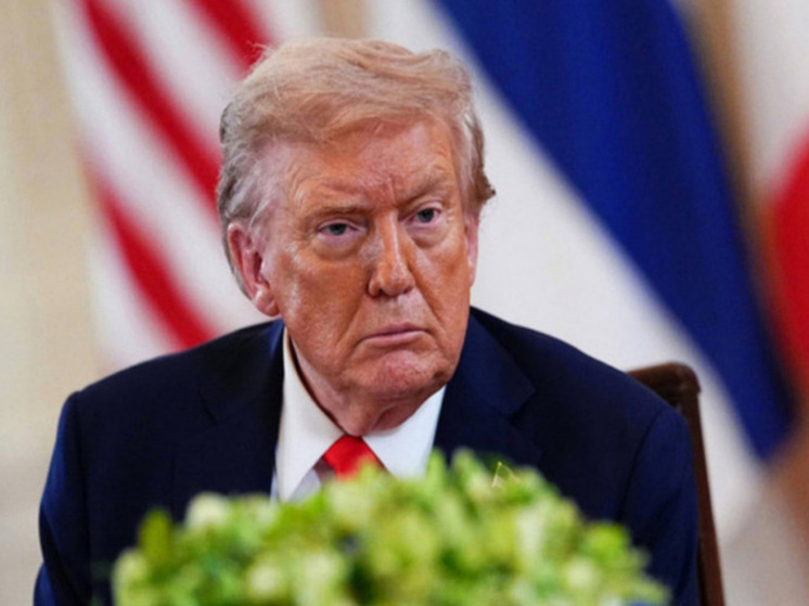 Украинский военкор Мирошников: мирные инициативы Трампа — это туалетная бумага