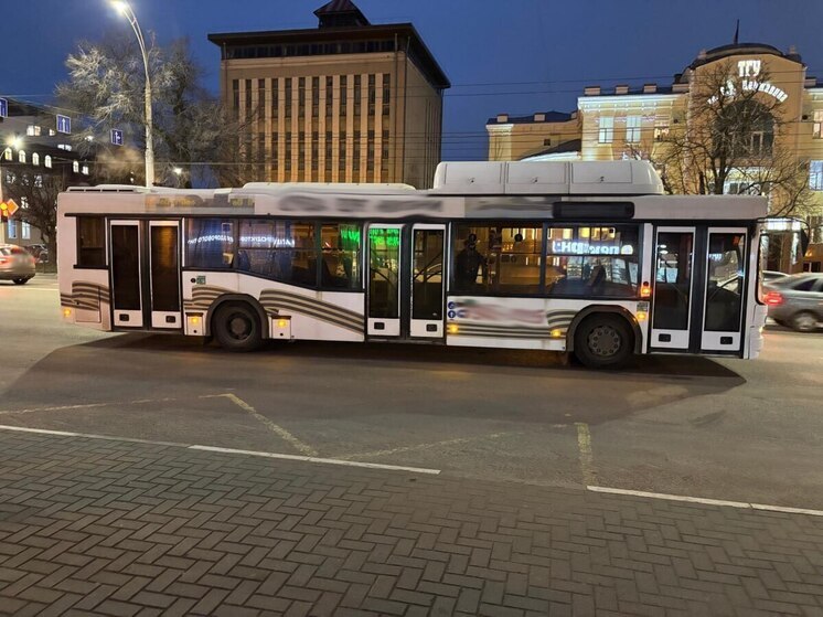 В Тамбове пассажирка пострадала от закрывшейся двери автобуса