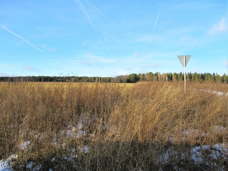 Земельные участки для многодетных в Серове обеспечат газом и светом