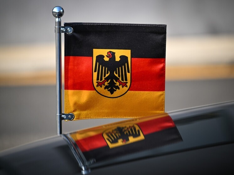 Глава МИД ФРГ Вадефуль распорядился, чтобы его портреты висели в посольствах по всему миру