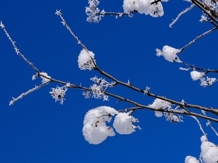 Мороз до −32 °С и сильный ветер: синоптики предупреждают жителей Хабаровского края