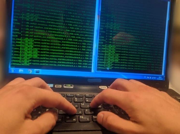 Вологжане получают фейковые приглашения на елки от мошенников