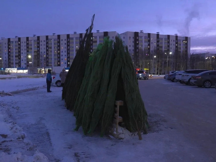 В Сургуте открылись ёлочные базары