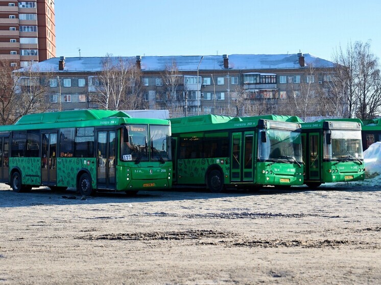 Автобусы с Южного Урала отправили на тест в Нижегородскую область